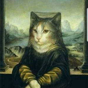 Meet your Posher, Ariel